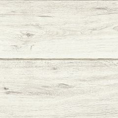 88090 Dąb Prowansalski