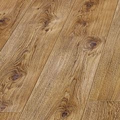 88366 Dąb Francuski