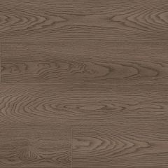 88910 Dąb Lancaster